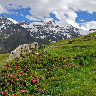 From Valnontey to Rif. Vittorio Sella